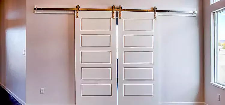 Glass Barn Door with Installation Hardware Kit Indio